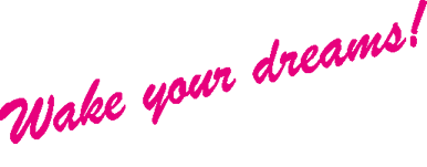 夢のままでは、終わらせない!